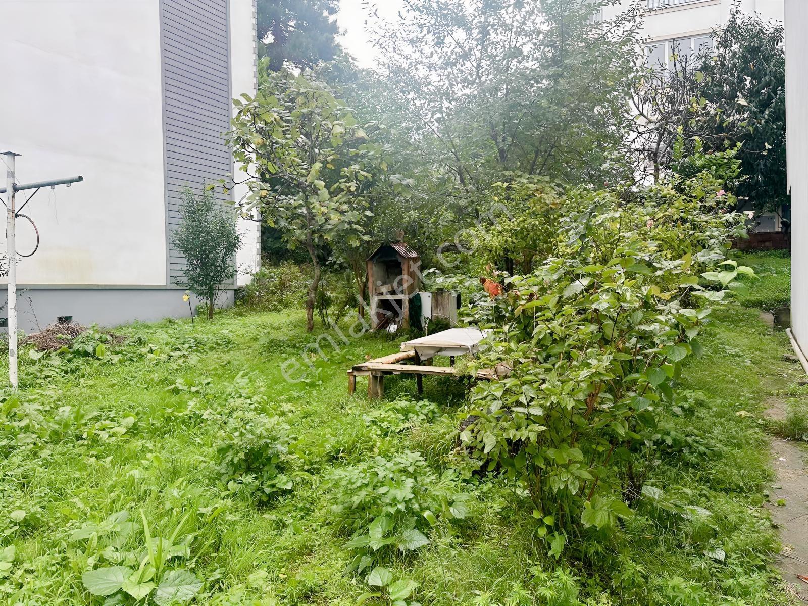 Ordu Güzelyalı Minübüs Hat Yolu Üzeri 262 M2 Satılık Fırsat Arsa — fotoğraf 4