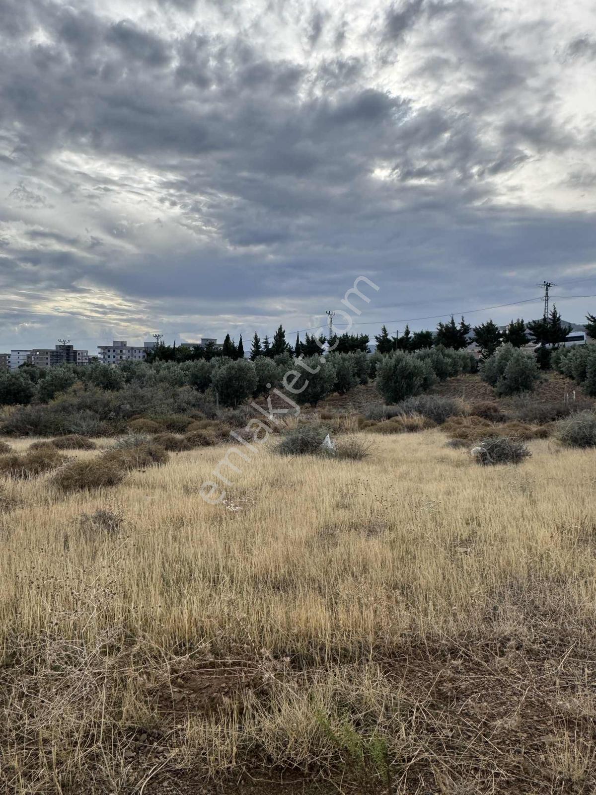 Full Deniz Manzaralı Yatırımlık Arsa Satılık! — fotoğraf 3