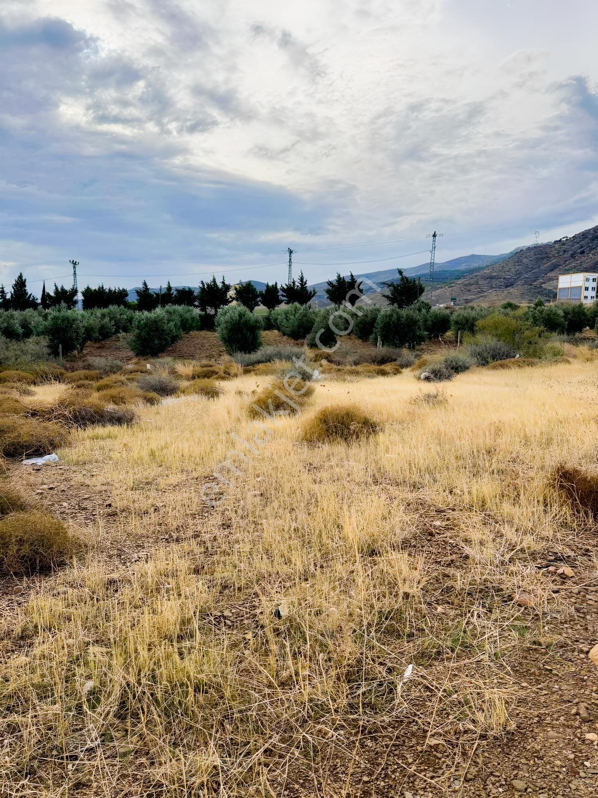 Full Deniz Manzaralı Yatırımlık Arsa Satılık! — fotoğraf 12