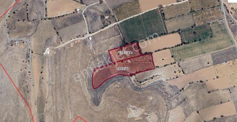 Karaman Siyaser'de 21.796 M² Verimli Elma Bahçesi Fırsatı! — fotoğraf 3