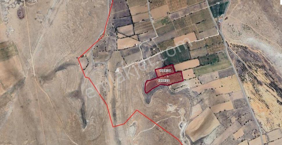 Karaman Siyaser'de 21.796 M² Verimli Elma Bahçesi Fırsatı! — fotoğraf 4