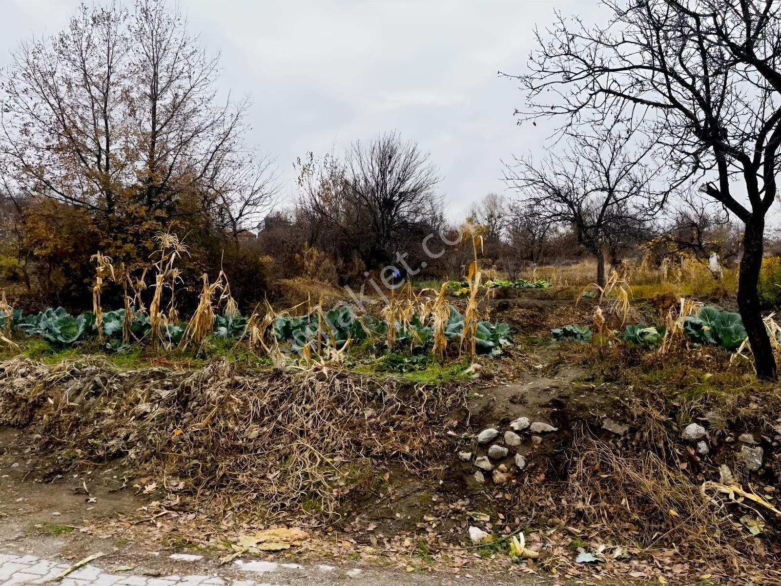 Çayırbağı Yanında Yeşillikler İçinde 631m2 Satılık Bahçe — fotoğraf 2
