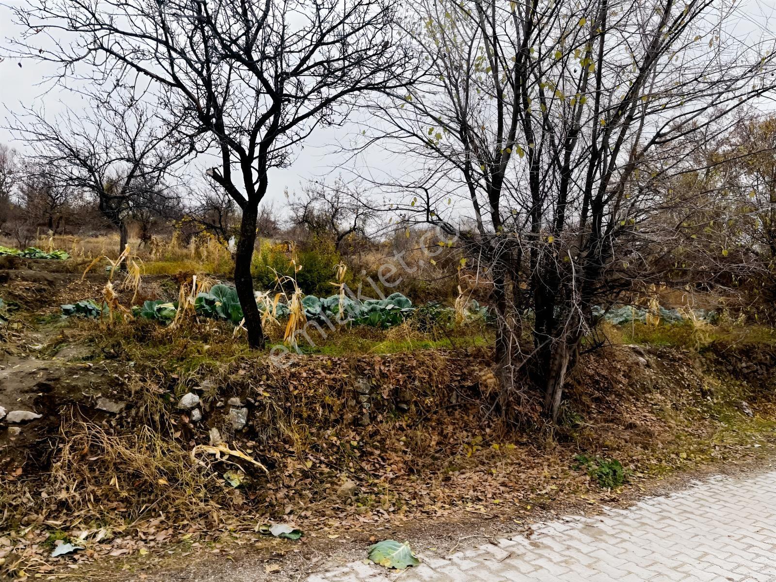 Çayırbağı Yanında Yeşillikler İçinde 631m2 Satılık Bahçe — fotoğraf 3