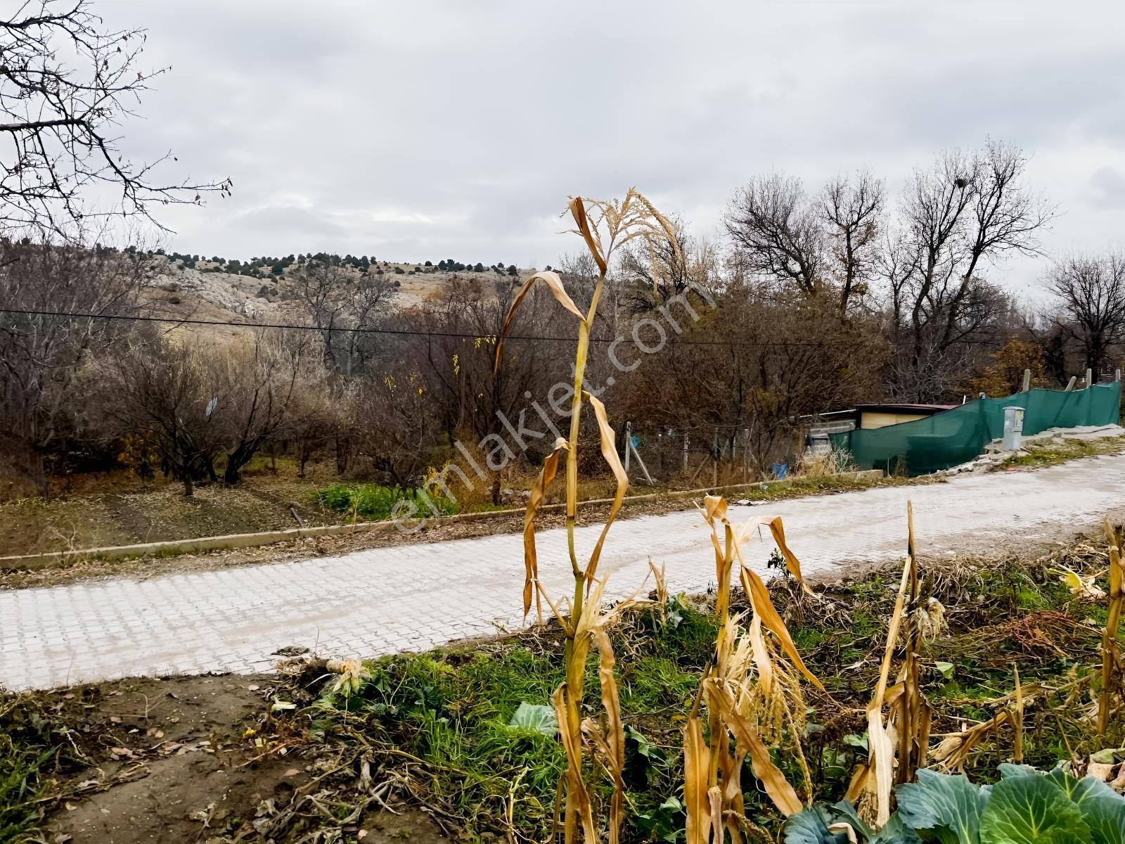 Çayırbağı Yanında Yeşillikler İçinde 631m2 Satılık Bahçe — fotoğraf 6
