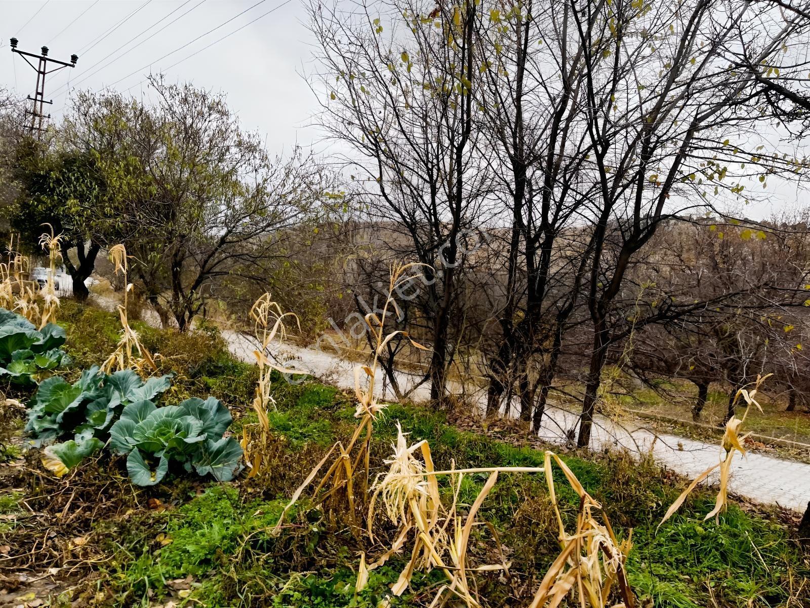 Çayırbağı Yanında Yeşillikler İçinde 631m2 Satılık Bahçe — fotoğraf 8