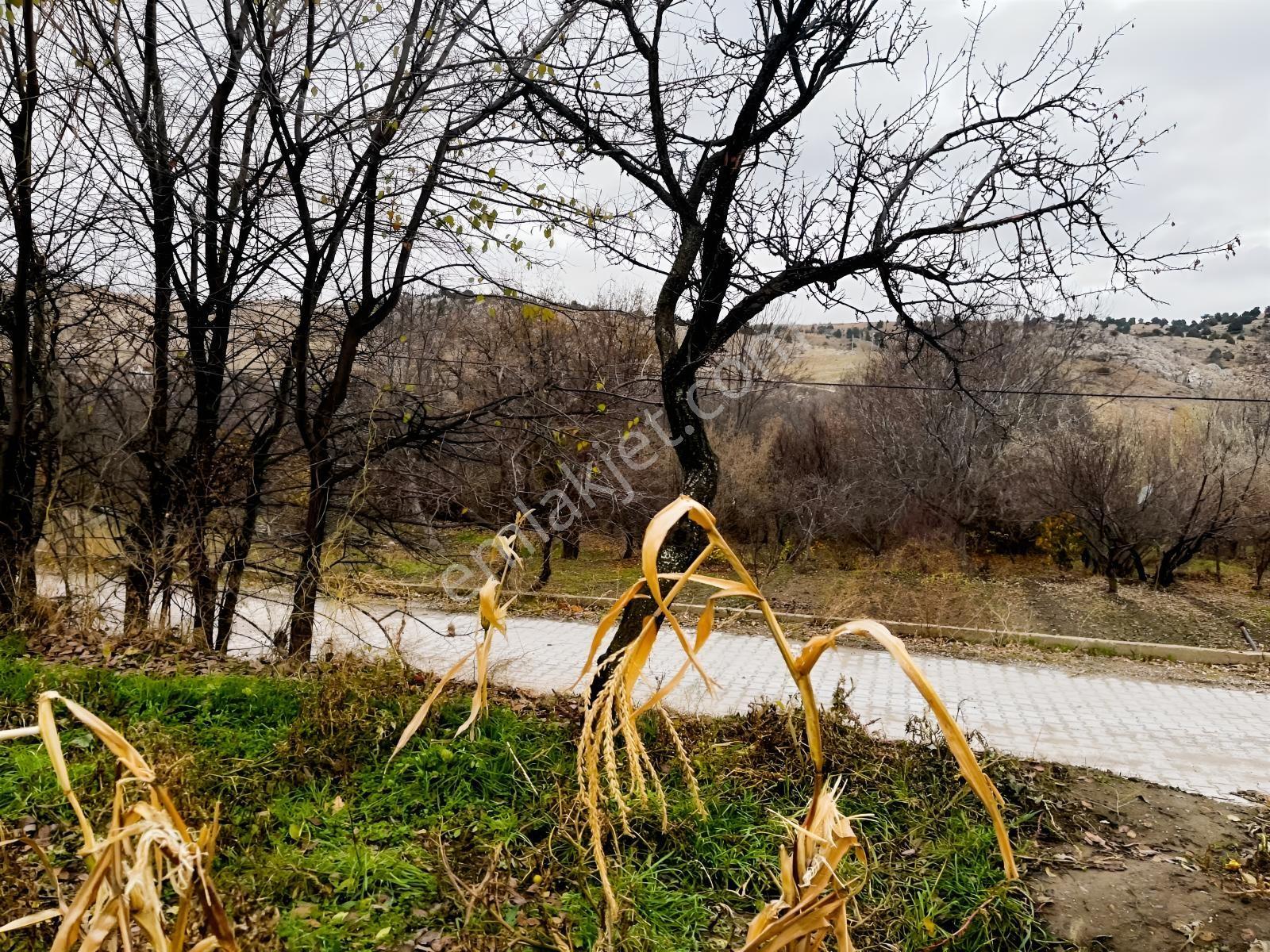 Çayırbağı Yanında Yeşillikler İçinde 631m2 Satılık Bahçe — fotoğraf 9