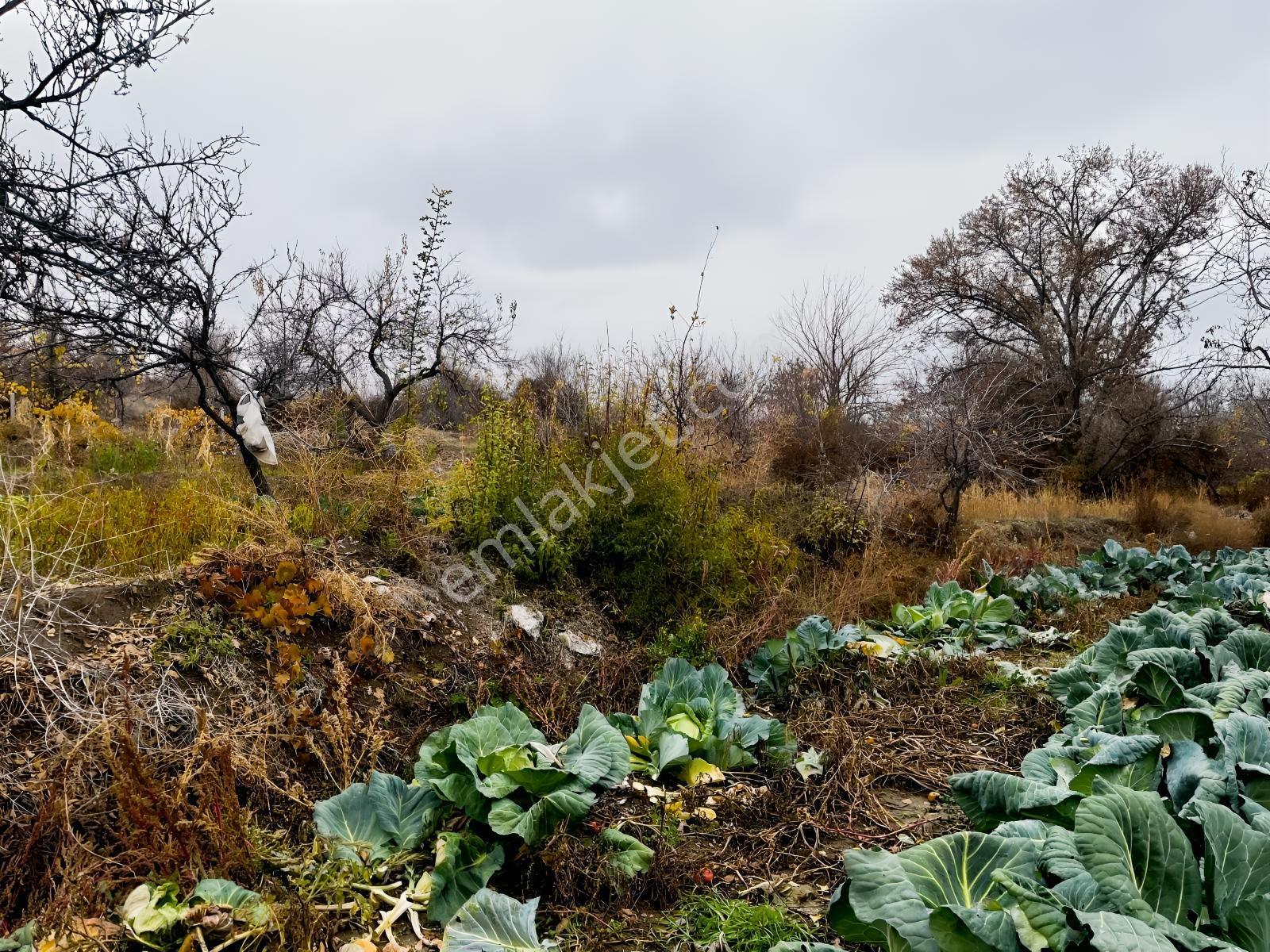 Çayırbağı Yanında Yeşillikler İçinde 631m2 Satılık Bahçe — fotoğraf 11