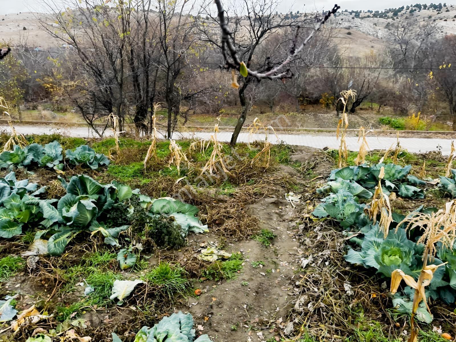 Çayırbağı Yanında Yeşillikler İçinde 631m2 Satılık Bahçe — fotoğraf 13