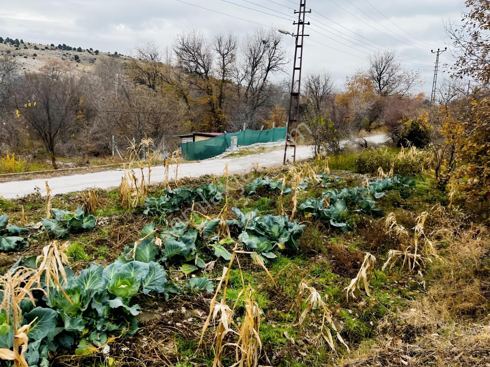 Çayırbağı Yanında Yeşillikler İçinde 631m2 Satılık Bahçe — fotoğraf 14
