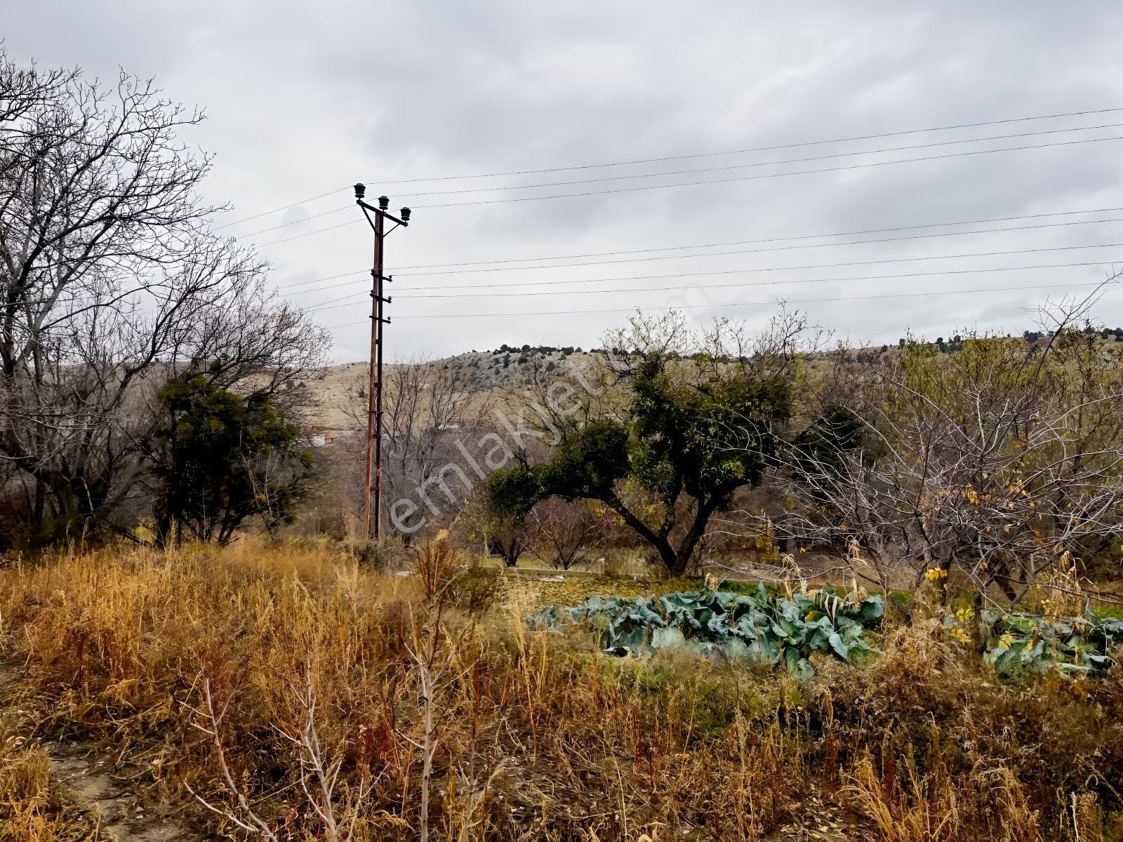Çayırbağı Yanında Yeşillikler İçinde 631m2 Satılık Bahçe — fotoğraf 17