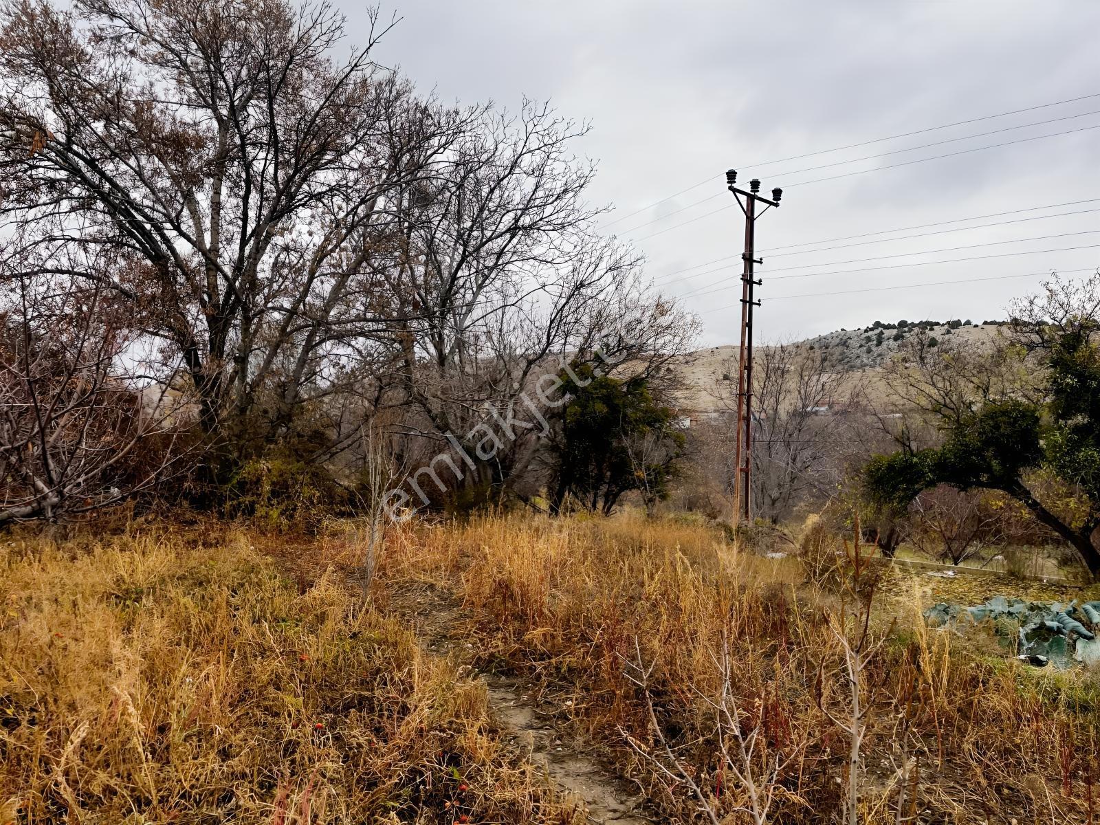 Çayırbağı Yanında Yeşillikler İçinde 631m2 Satılık Bahçe — fotoğraf 18