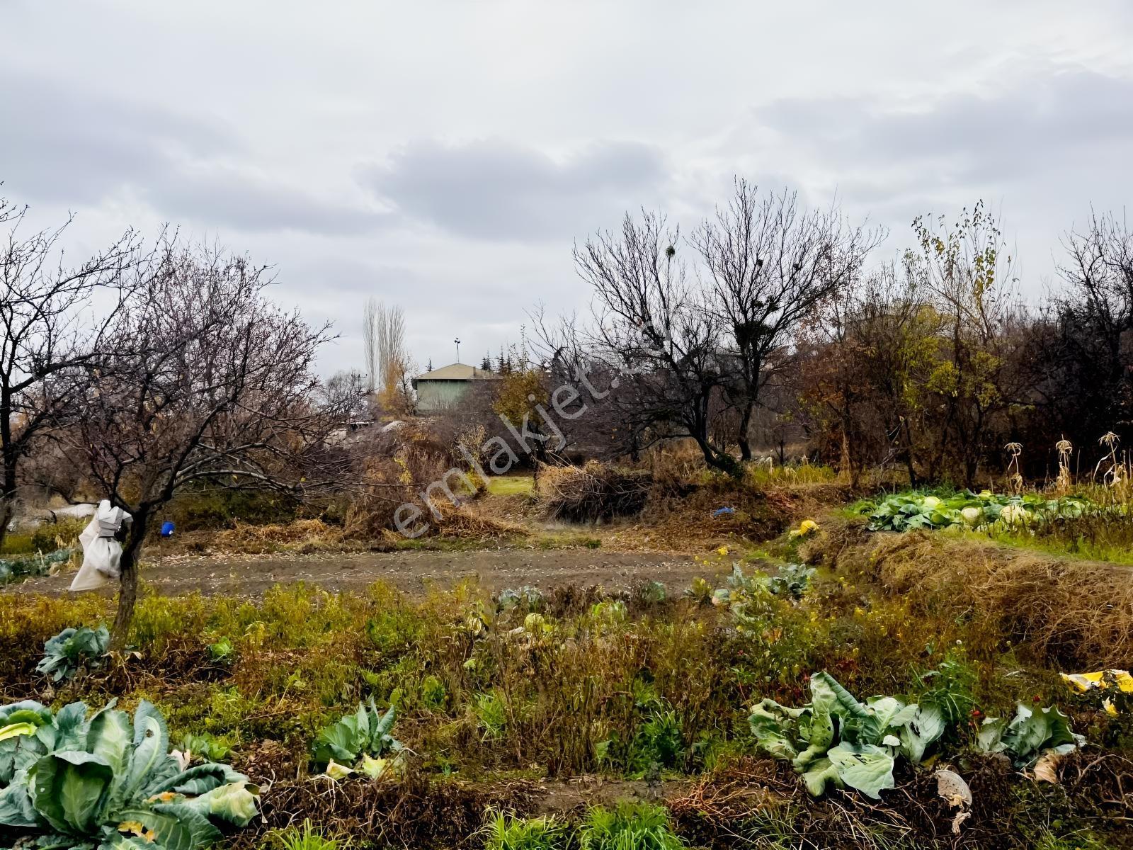 Çayırbağı Yanında Yeşillikler İçinde 631m2 Satılık Bahçe — fotoğraf 20