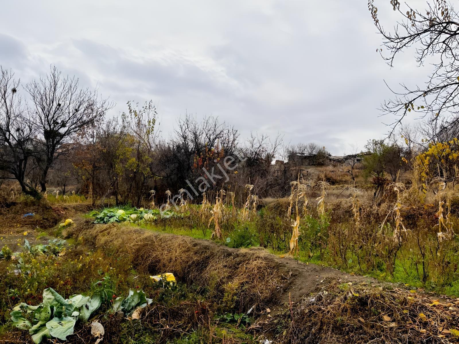 Çayırbağı Yanında Yeşillikler İçinde 631m2 Satılık Bahçe — fotoğraf 23