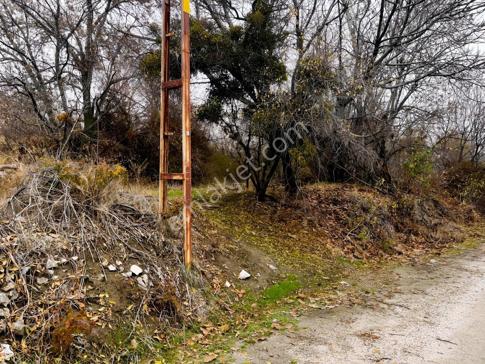 Çayırbağı Yanında Yeşillikler İçinde 631m2 Satılık Bahçe — fotoğraf 27