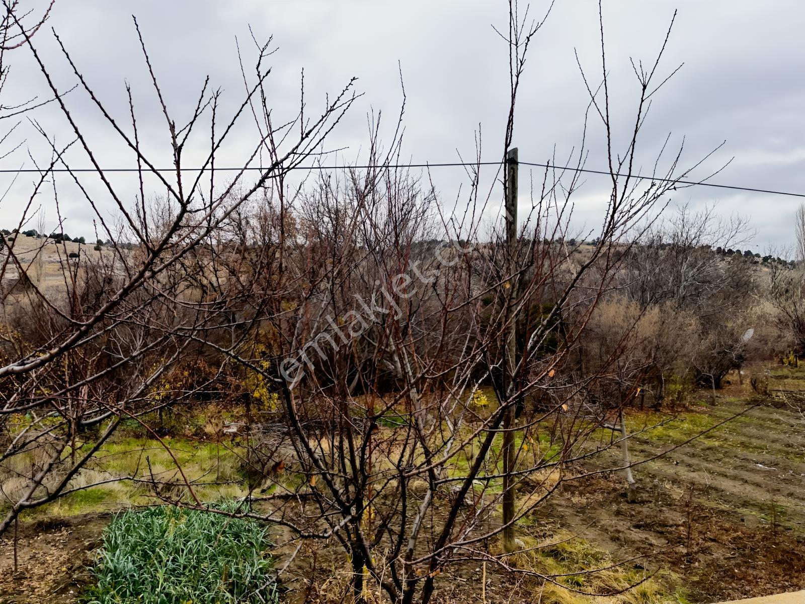 Çayırbağı Yanında Yeşillikler İçinde 631m2 Satılık Bahçe — fotoğraf 28