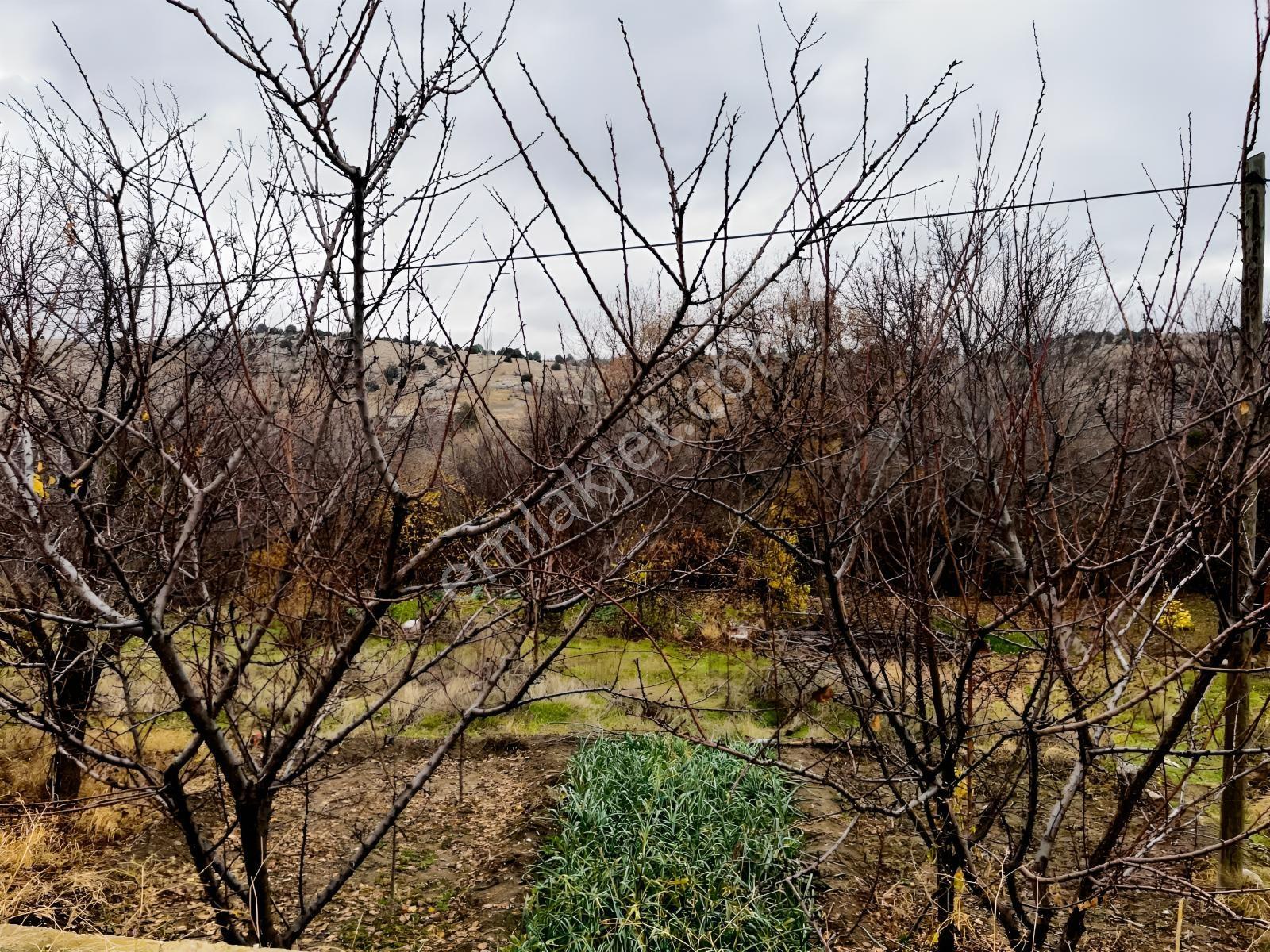 Çayırbağı Yanında Yeşillikler İçinde 631m2 Satılık Bahçe — fotoğraf 29