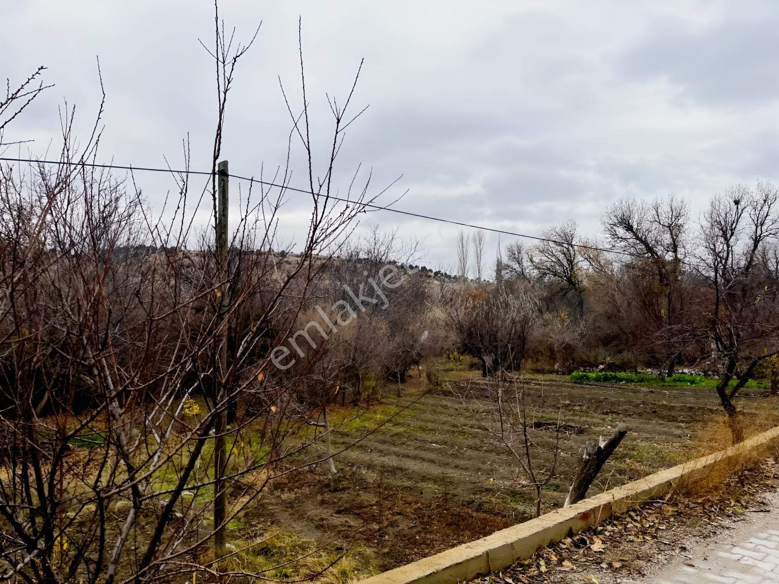 Çayırbağı Yanında Yeşillikler İçinde 631m2 Satılık Bahçe — fotoğraf 31
