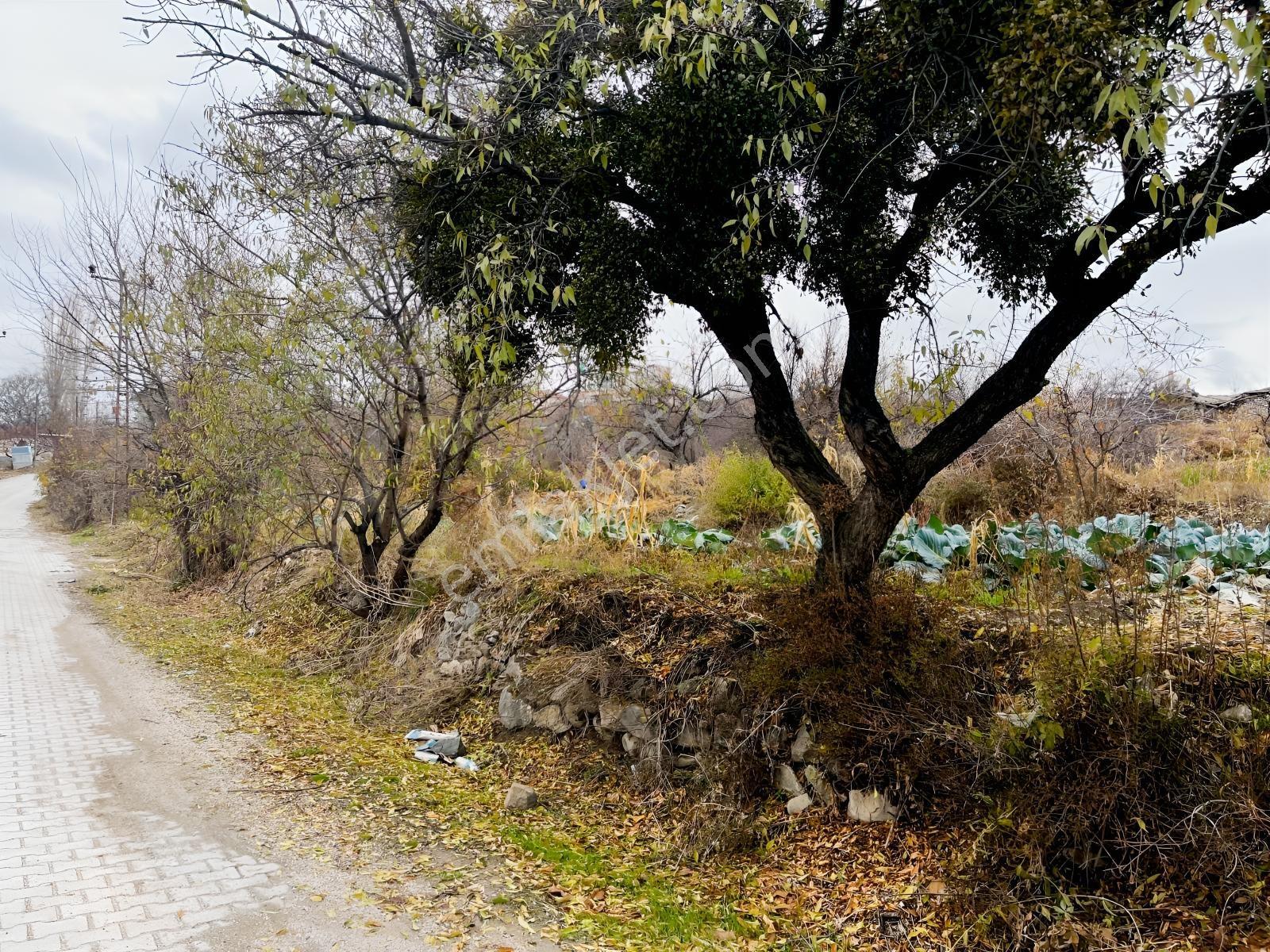Çayırbağı Yanında Yeşillikler İçinde 631m2 Satılık Bahçe — fotoğraf 33