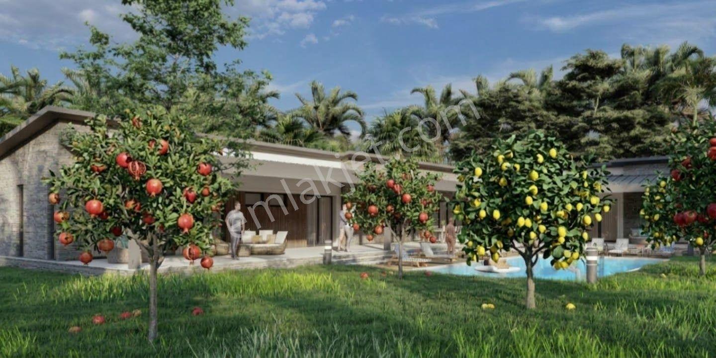 Yetkili Ofis-Sarıgermeye 7 Km 2 Villalık Arsa Nar Limon Ağaçları