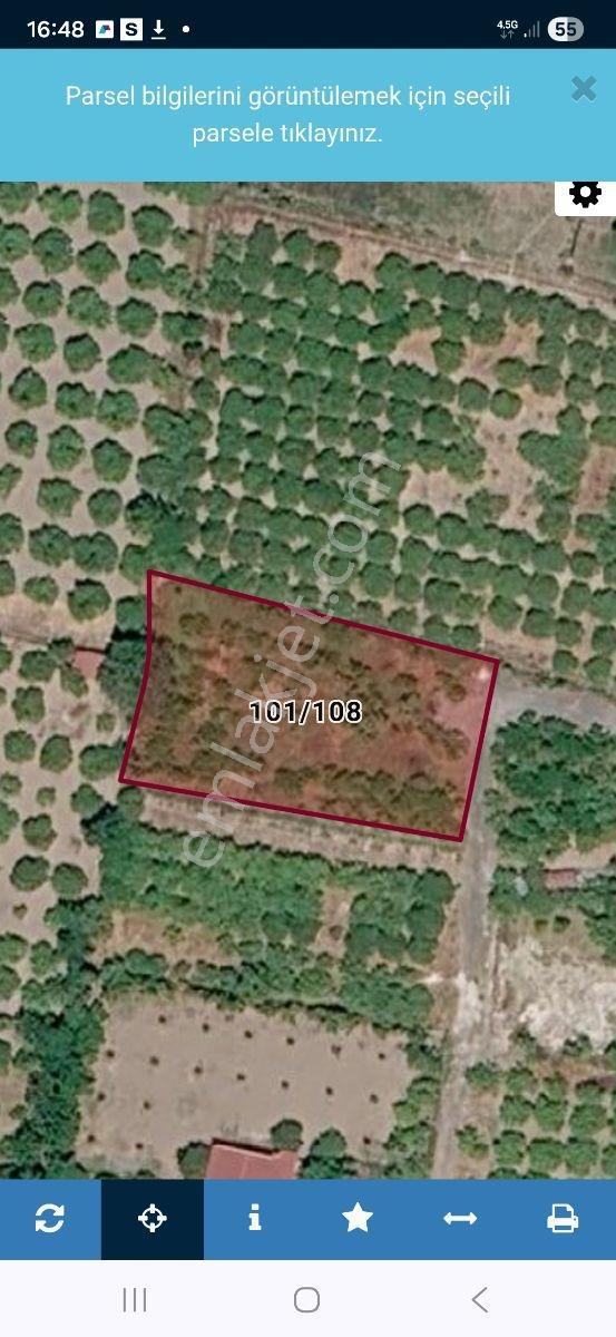 Yetkili Ofis-sarıgermeye 7 Km 2 Villalık Arsa Nar Limon Ağaçları — fotoğraf 12