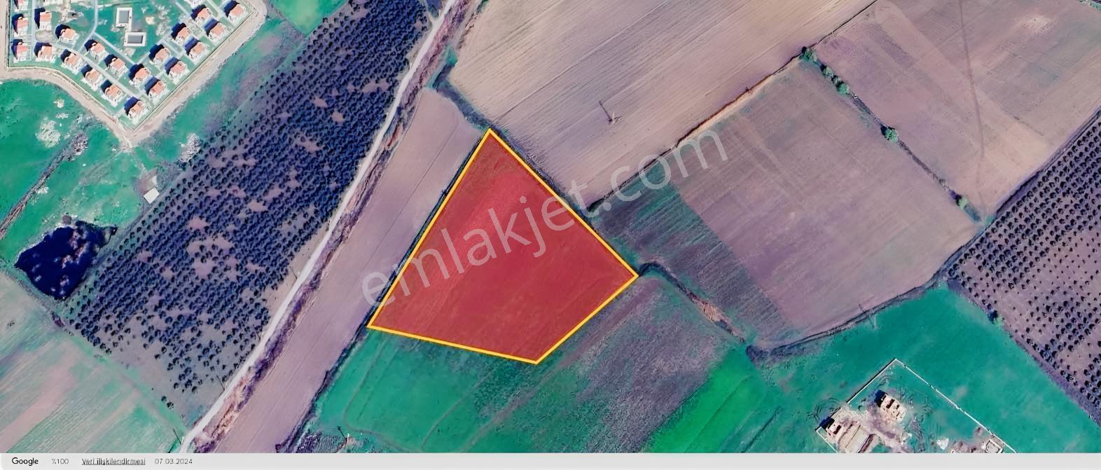 Dikili Salihlerde Satılık 500 M² Tarla Hissesi — fotoğraf 2