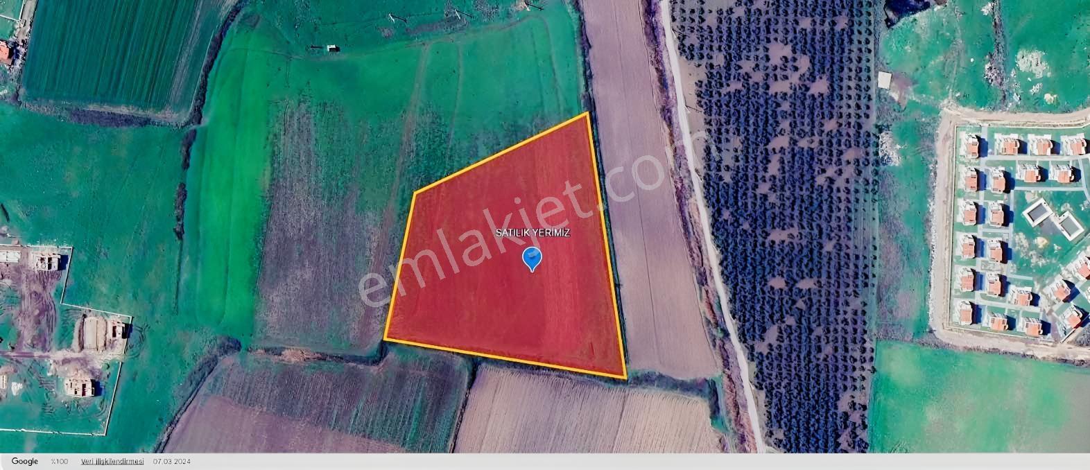 Dikili Salihlerde Satılık 500 M² Tarla Hissesi — fotoğraf 6