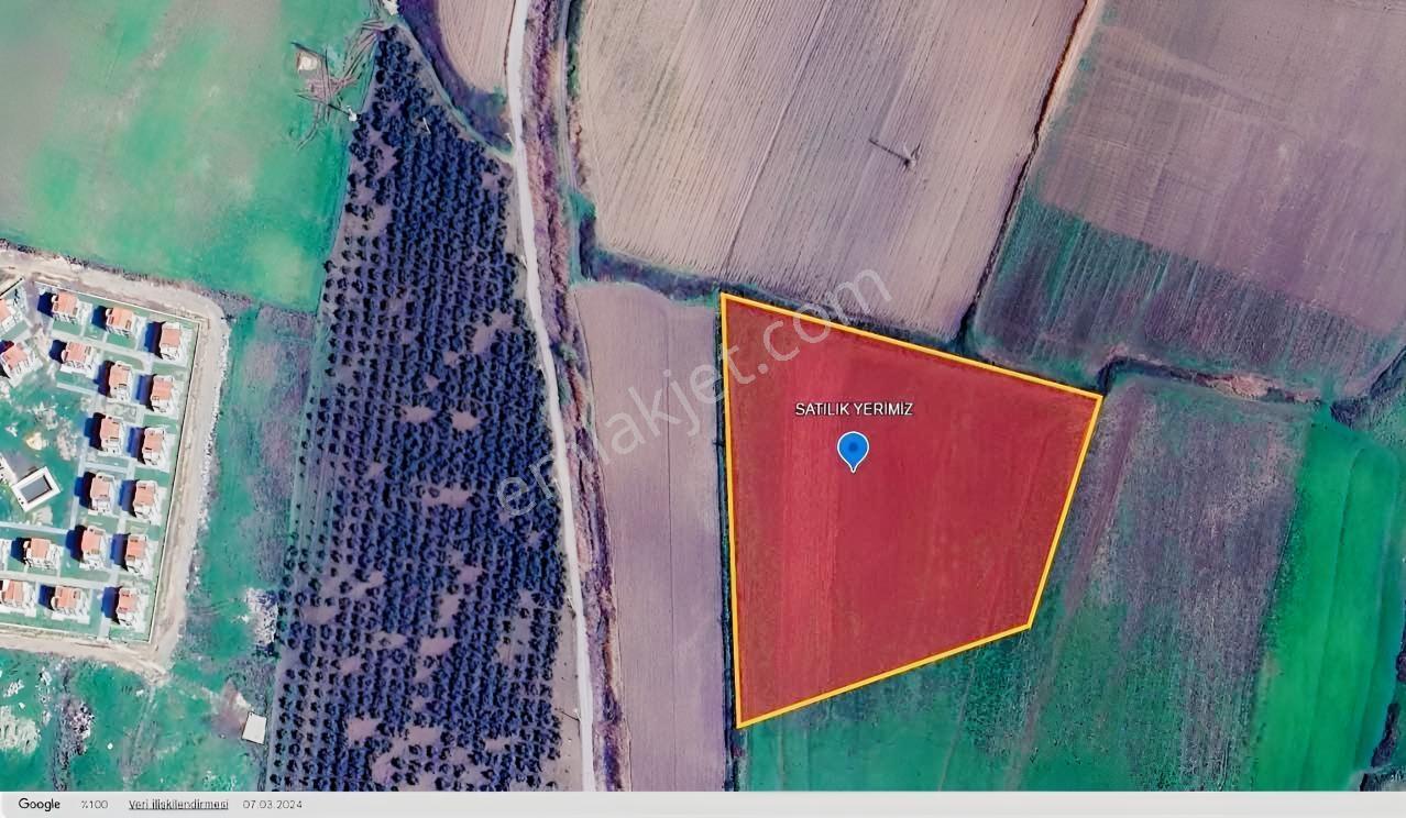 Dikili Salihlerde Satılık 500 M² Tarla Hissesi — fotoğraf 8