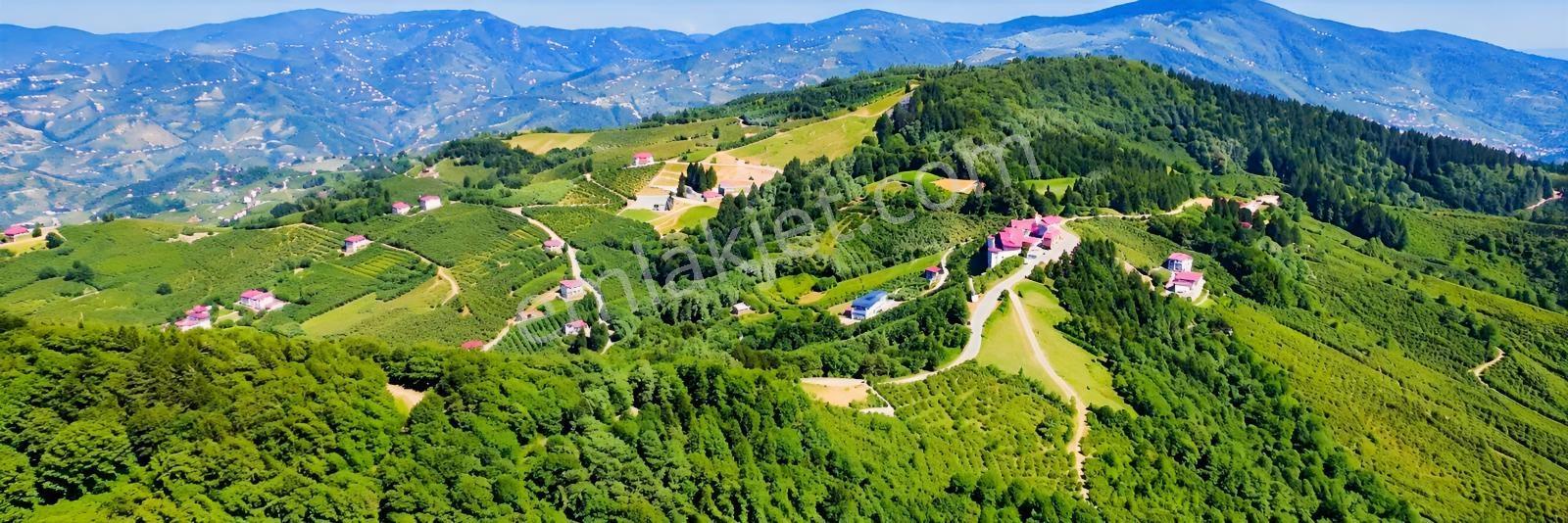 Gw Nova'Dan Esiroğlu Turizm Bölgesinde Satılık Arazi