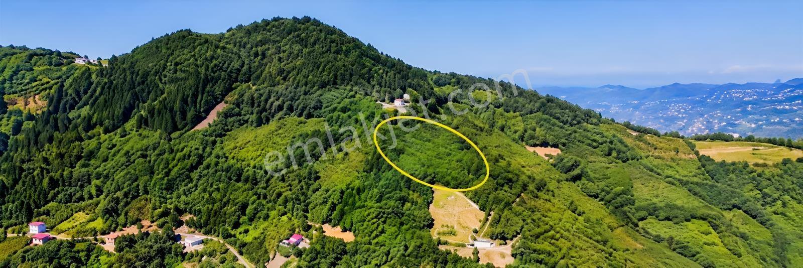 Gw Nova'dan Esiroğlu Turizm Bölgesinde Satılık Arazi — fotoğraf 2