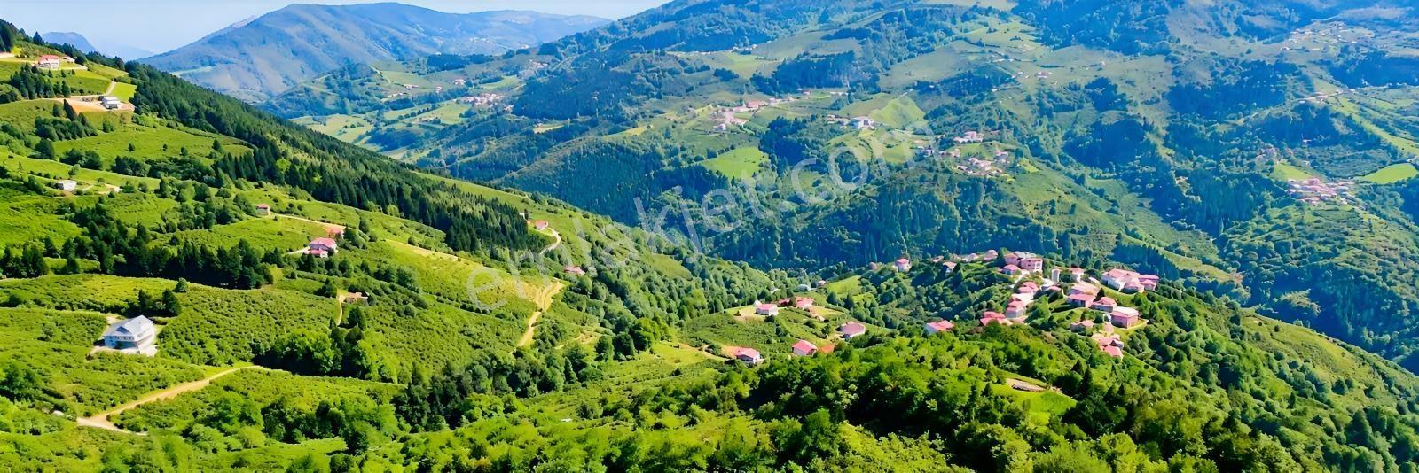 Gw Nova'dan Esiroğlu Turizm Bölgesinde Satılık Arazi — fotoğraf 3