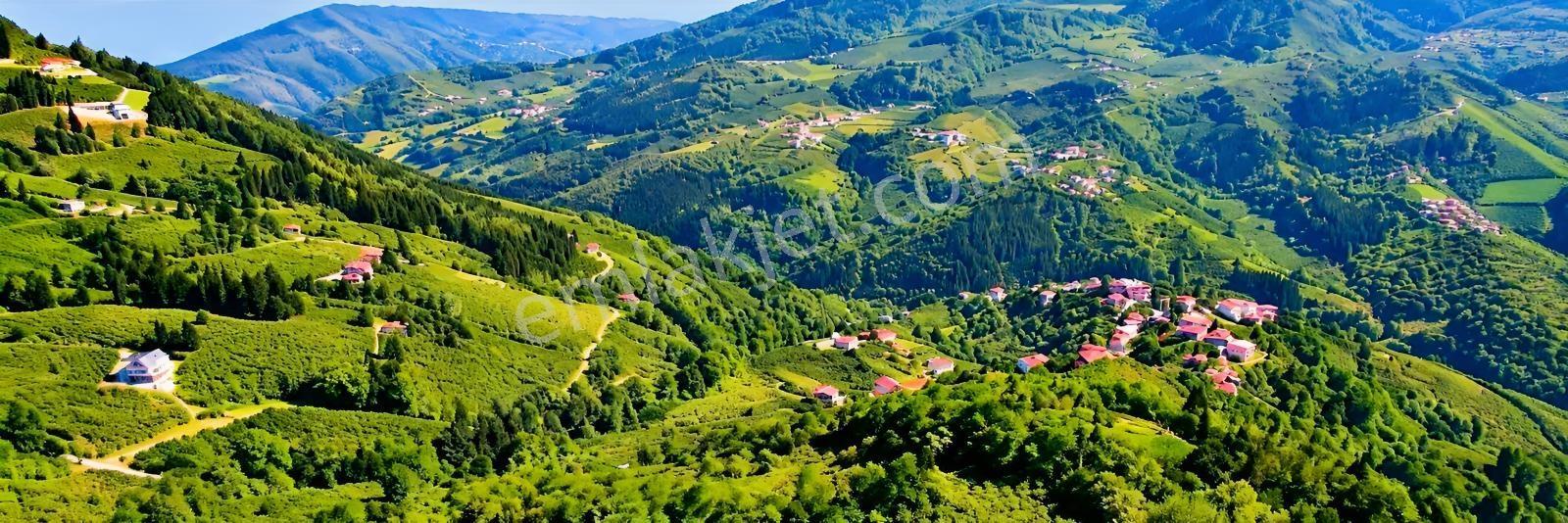 Gw Nova'dan Esiroğlu Turizm Bölgesinde Satılık Arazi — fotoğraf 5
