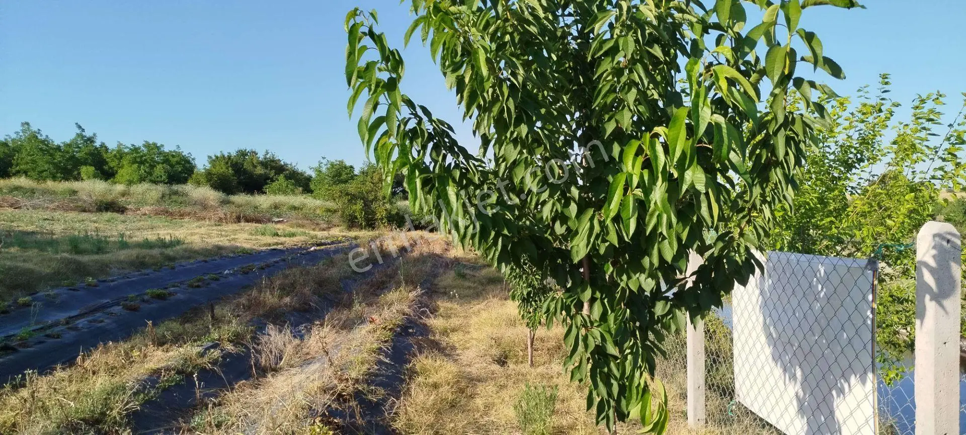 3.015 M2 Satılık Tarla. Keşif Arazi Balıkesir Gönen Babayaka 0 Ada 205 Parselde. Kanala Tam Cephe, — fotoğraf 4