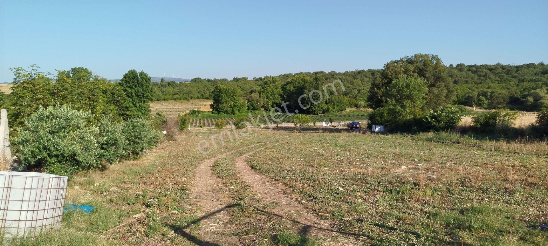 3.015 M2 Satılık Tarla. Keşif Arazi Balıkesir Gönen Babayaka 0 Ada 205 Parselde. Kanala Tam Cephe, — fotoğraf 12
