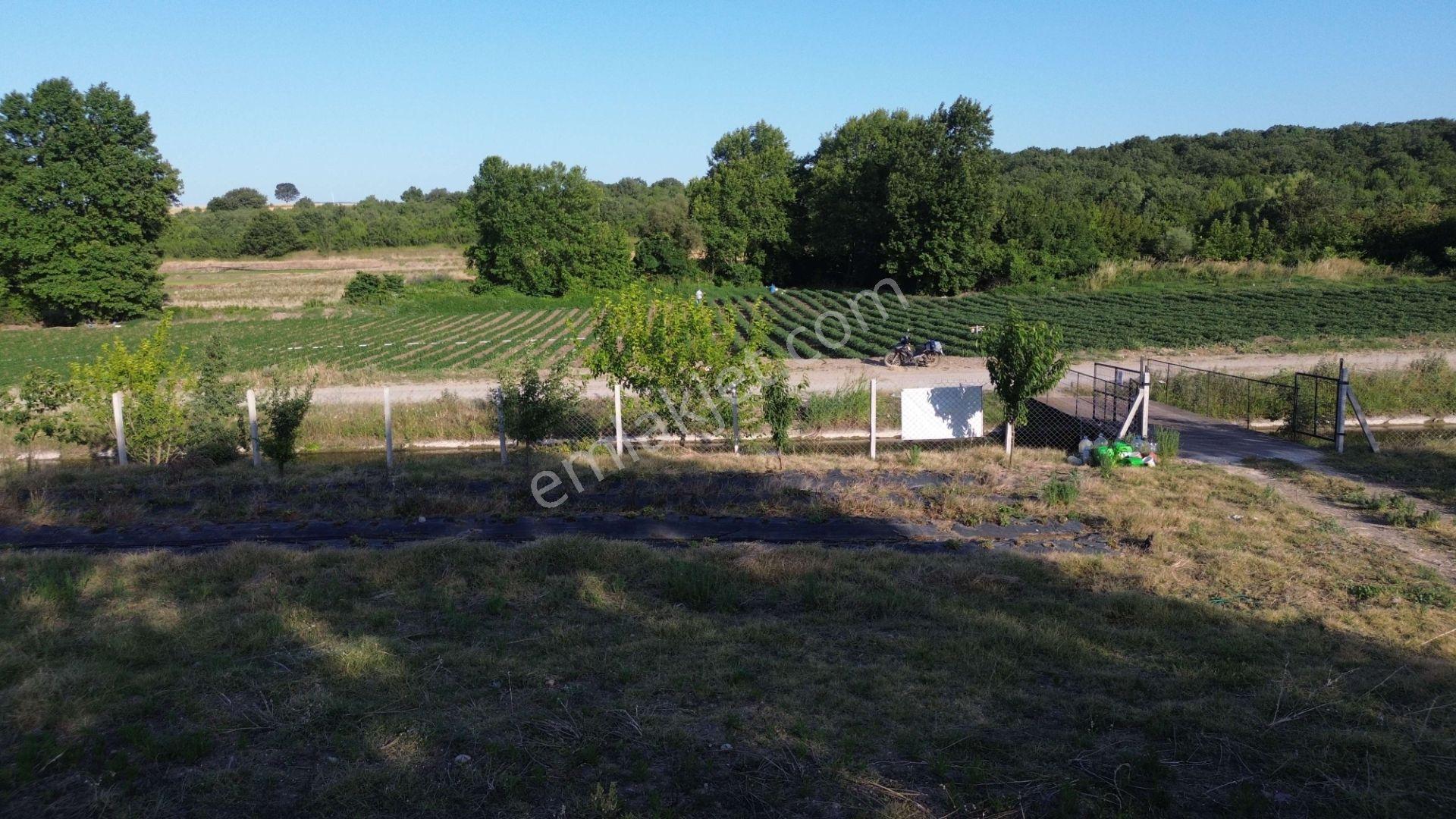 3.015 M2 Satılık Tarla. Keşif Arazi Balıkesir Gönen Babayaka 0 Ada 205 Parselde. Kanala Tam Cephe, — fotoğraf 15