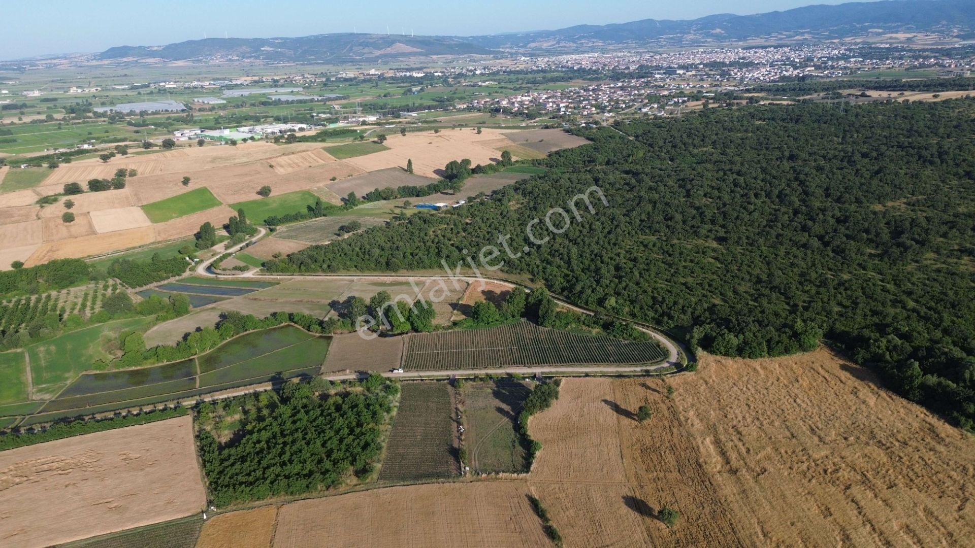 3.015 M2 Satılık Tarla. Keşif Arazi Balıkesir Gönen Babayaka 0 Ada 205 Parselde. Kanala Tam Cephe, — fotoğraf 16