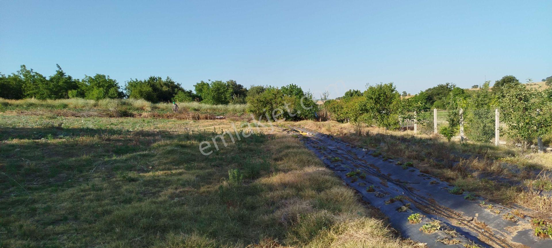 3.015 M2 Satılık Tarla. Keşif Arazi Balıkesir Gönen Babayaka 0 Ada 205 Parselde. Kanala Tam Cephe, — fotoğraf 20