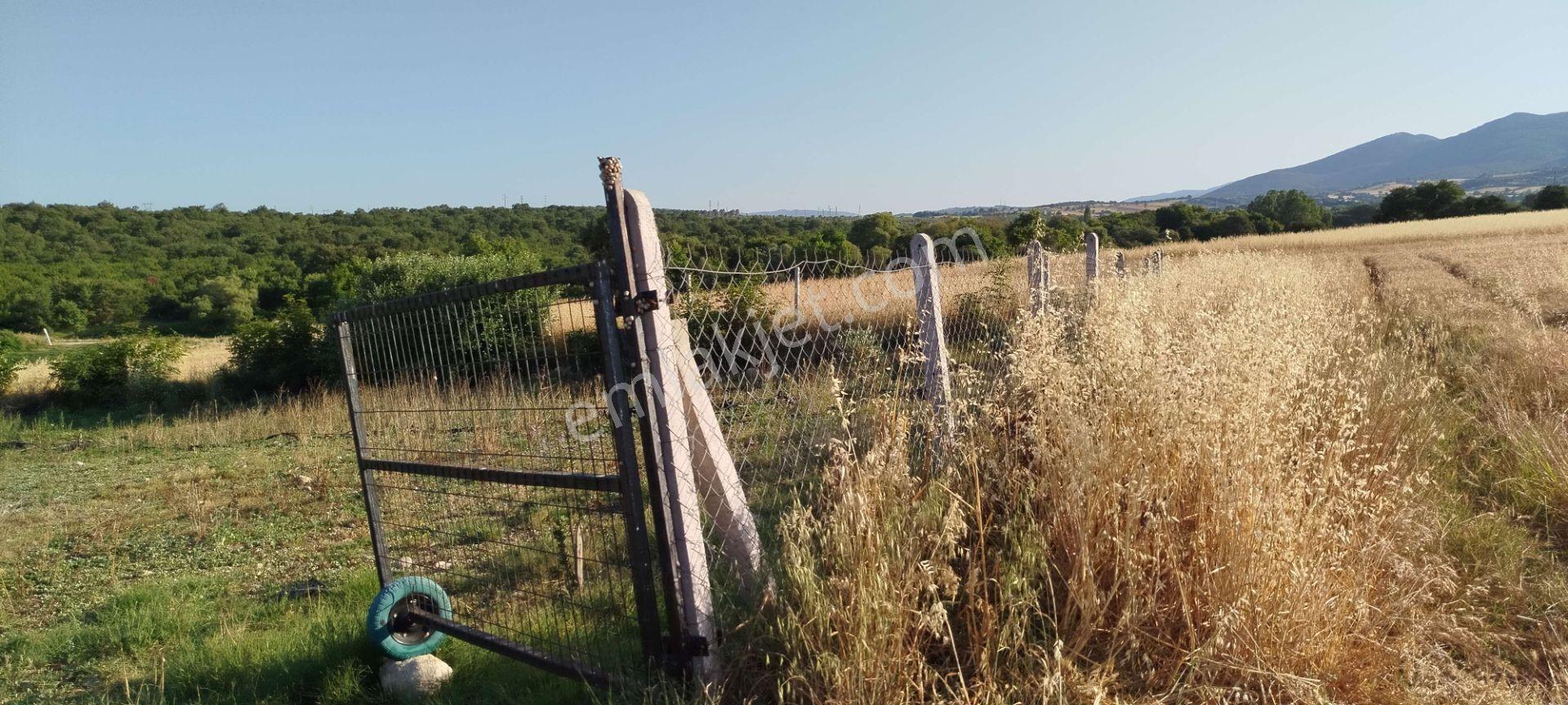 3.015 M2 Satılık Tarla. Keşif Arazi Balıkesir Gönen Babayaka 0 Ada 205 Parselde. Kanala Tam Cephe, — fotoğraf 23
