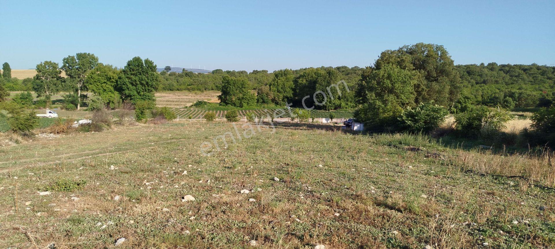 3.015 M2 Satılık Tarla. Keşif Arazi Balıkesir Gönen Babayaka 0 Ada 205 Parselde. Kanala Tam Cephe, — fotoğraf 24