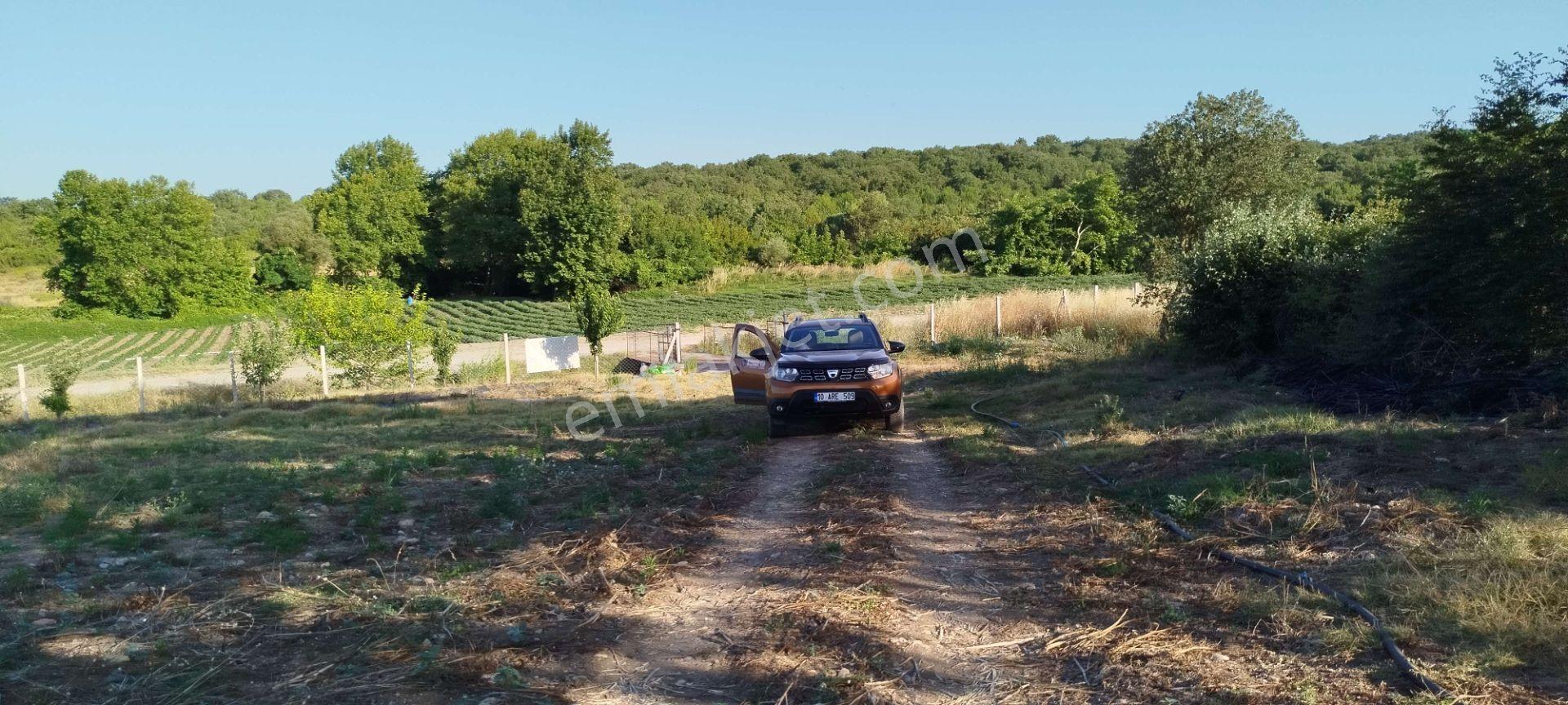 3.015 M2 Satılık Tarla. Keşif Arazi Balıkesir Gönen Babayaka 0 Ada 205 Parselde. Kanala Tam Cephe, — fotoğraf 25