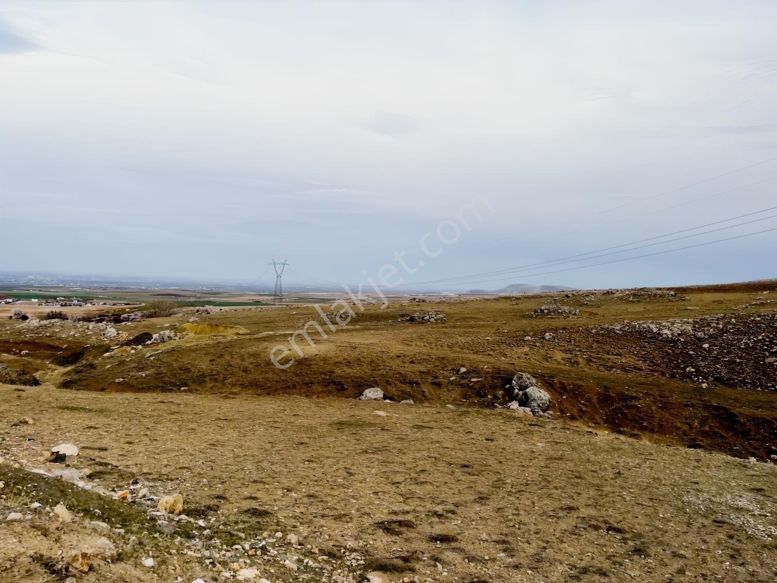 Gödene Toki'nin Dibinde 1295m2 Hem Bahçe Hem Yatırım — fotoğraf 2
