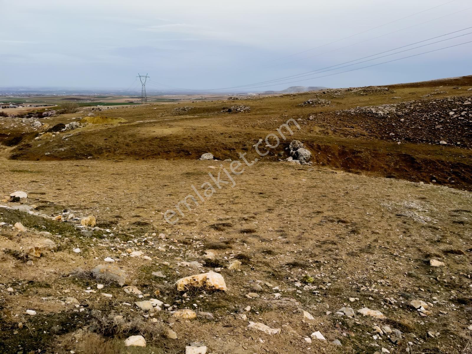 Gödene Toki'nin Dibinde 1295m2 Hem Bahçe Hem Yatırım — fotoğraf 4
