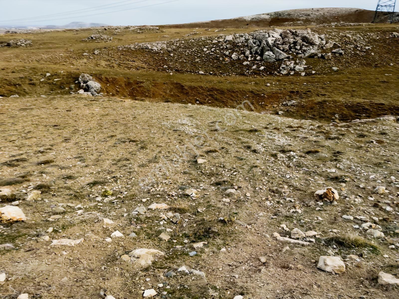 Gödene Toki'nin Dibinde 1295m2 Hem Bahçe Hem Yatırım — fotoğraf 5