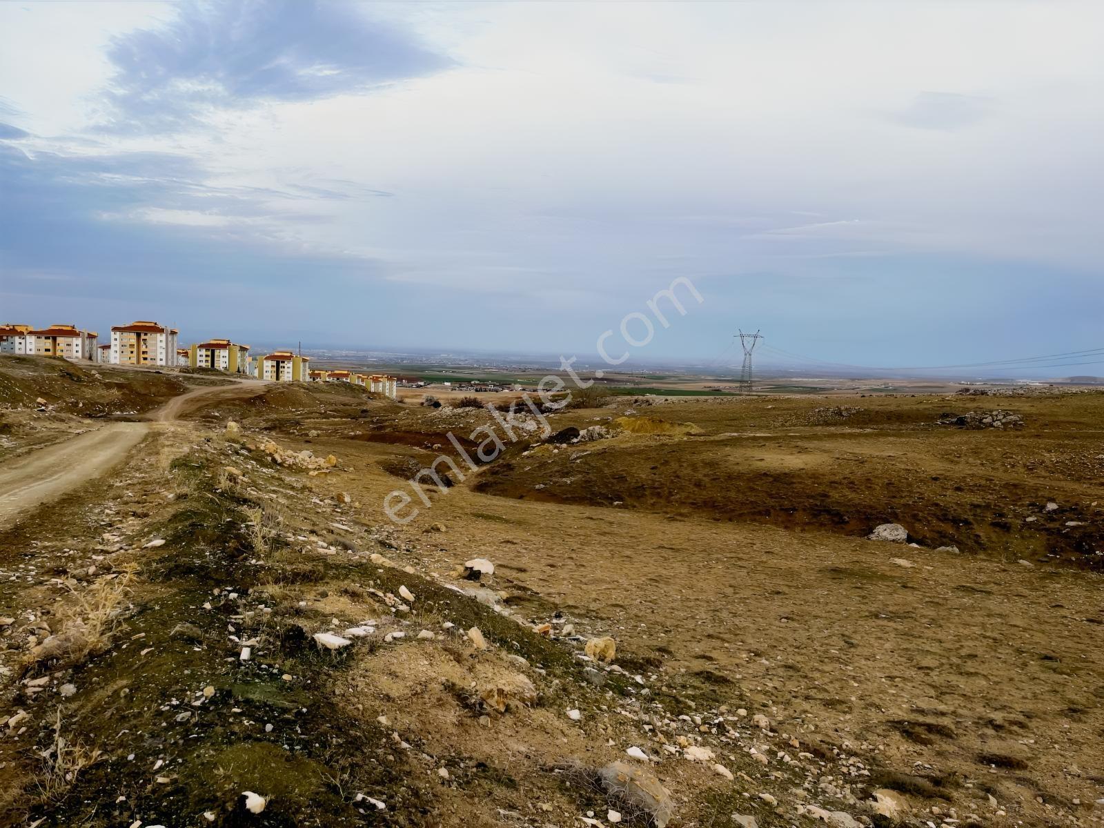 Gödene Toki'nin Dibinde 1295m2 Hem Bahçe Hem Yatırım — fotoğraf 8