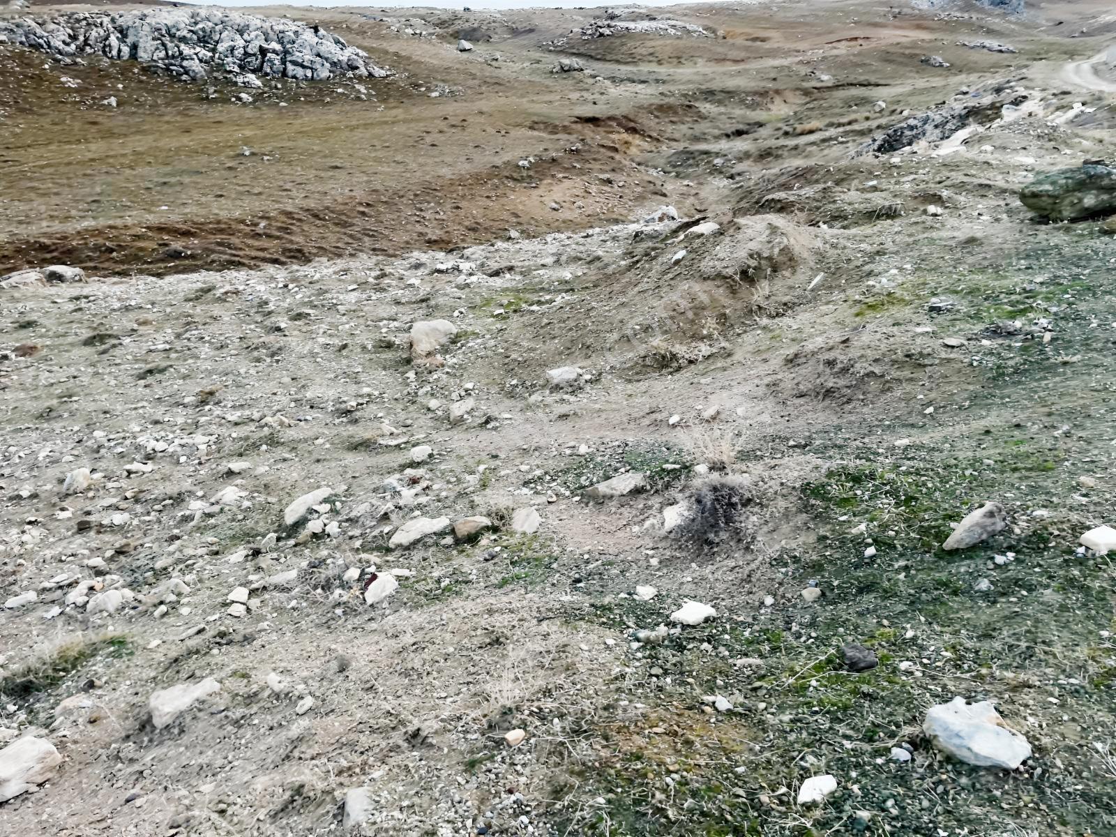 Gödene Toki'nin Dibinde 1295m2 Hem Bahçe Hem Yatırım — fotoğraf 9