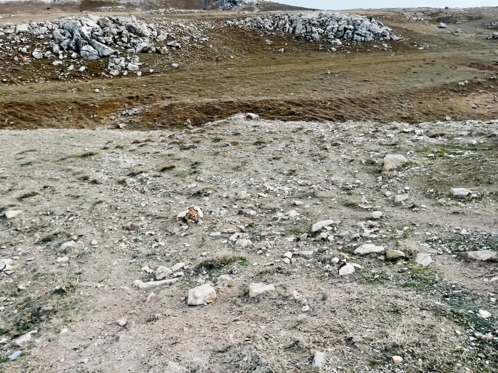 Gödene Toki'nin Dibinde 1295m2 Hem Bahçe Hem Yatırım — fotoğraf 10
