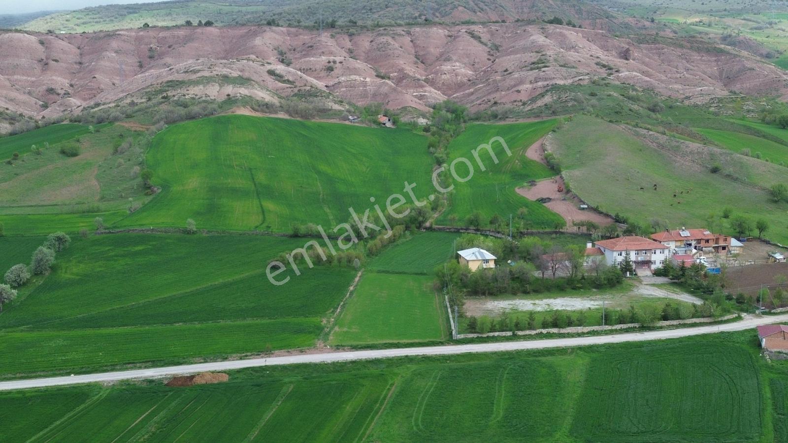 Tokat Artova Ağmusa Mahallesin De 4.851 M² Müstakil Tapulu Tarla