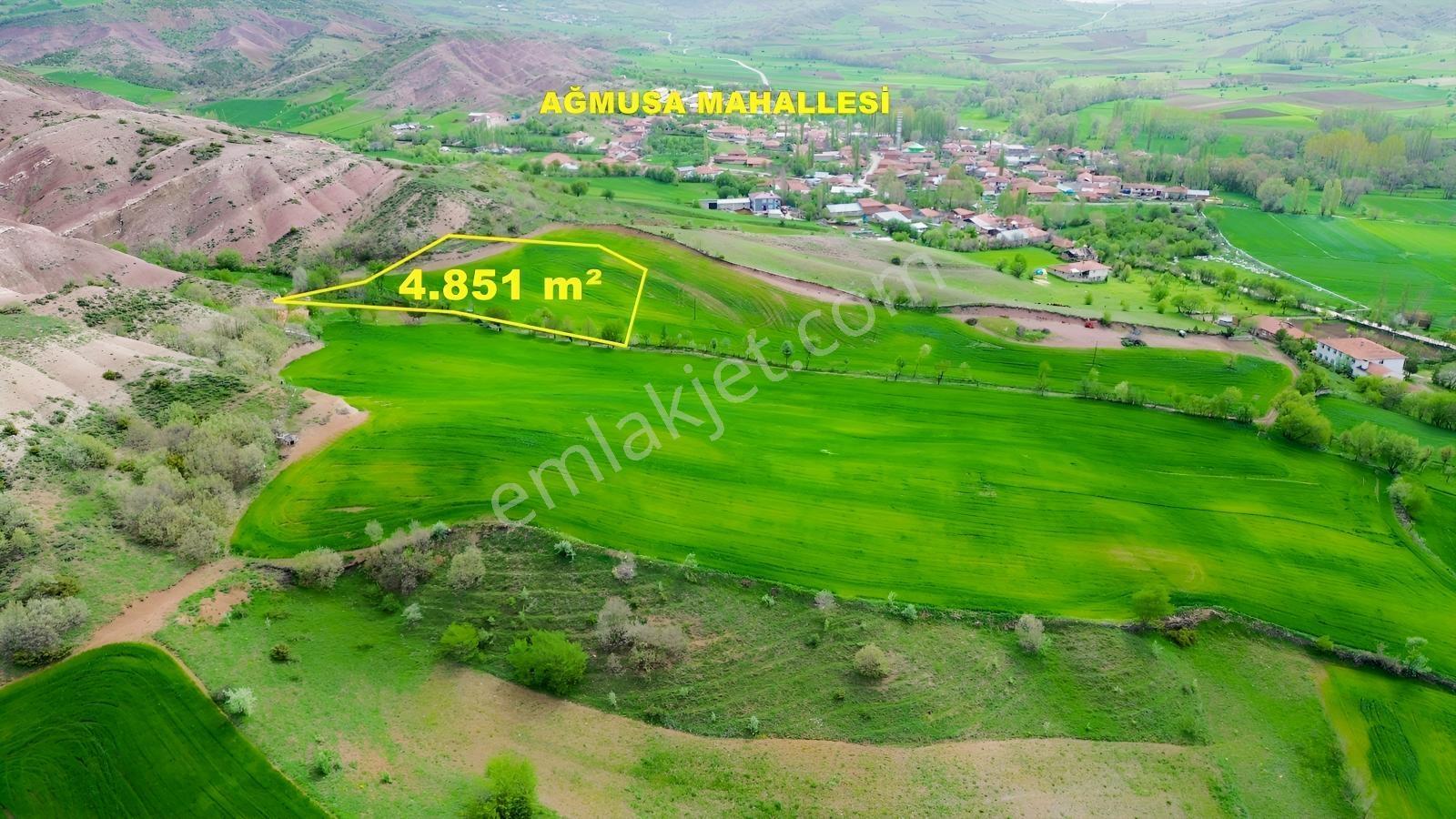 Tokat Artova Ağmusa Mahallesin De 4.851 M² Müstakil Tapulu Tarla — fotoğraf 2