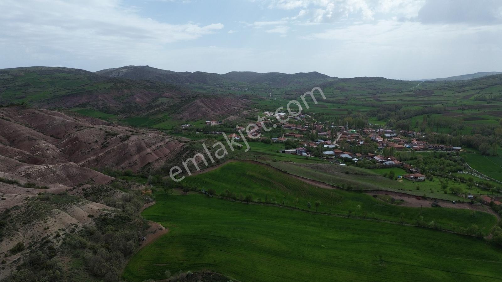 Tokat Artova Ağmusa Mahallesin De 4.851 M² Müstakil Tapulu Tarla — fotoğraf 3