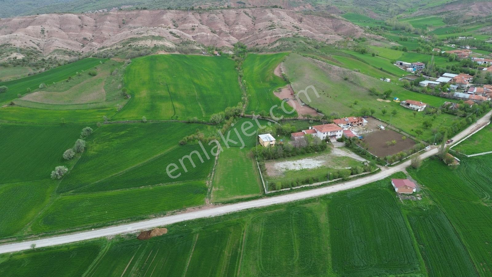 Tokat Artova Ağmusa Mahallesin De 4.851 M² Müstakil Tapulu Tarla — fotoğraf 4