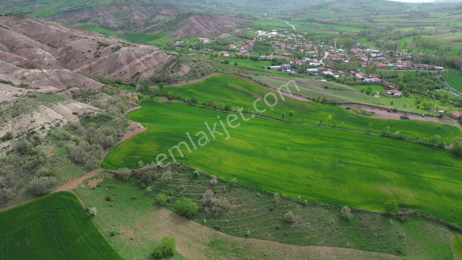 Tokat Artova Ağmusa Mahallesin De 4.851 M² Müstakil Tapulu Tarla — fotoğraf 5